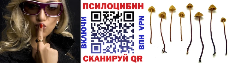 магазин продажи   Алзамай  Псилоцибиновые грибы мухоморы 
