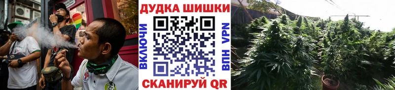 Каннабис индика  Алзамай 